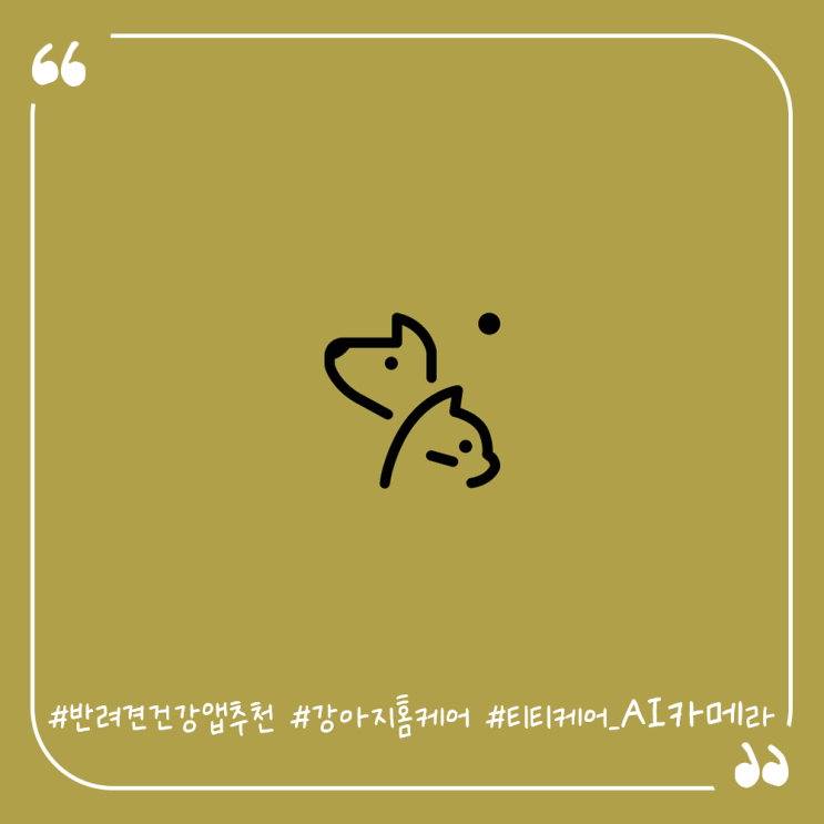  반려견건강필수앱 강아지홈케어 티티케어 AI카메라로 건강체크하기