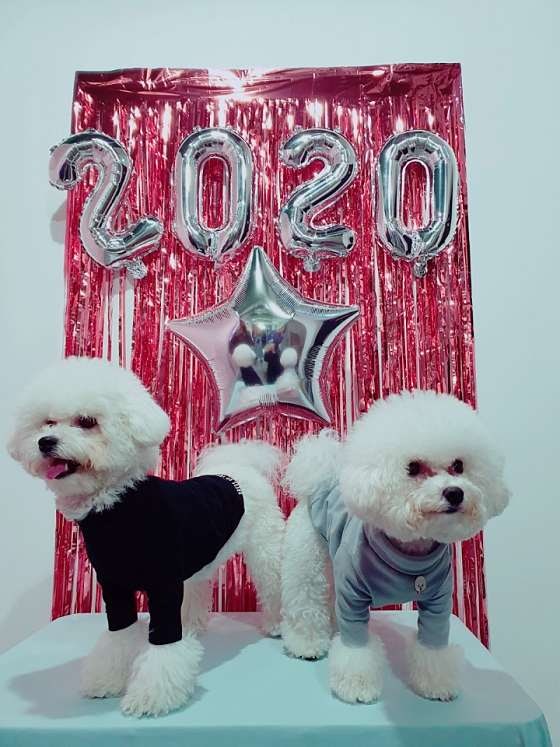 사진 2