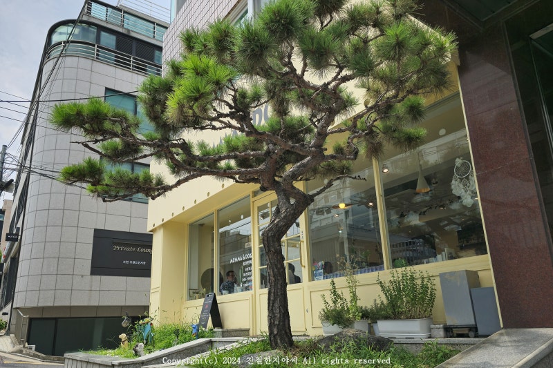 사진 2