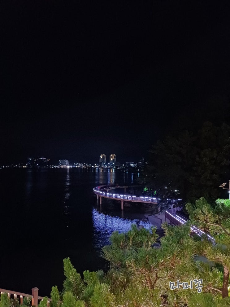  거제도 밤에 가볼만한곳 별 보며 해변 산책하기 좋은곳 소노캄 데이트