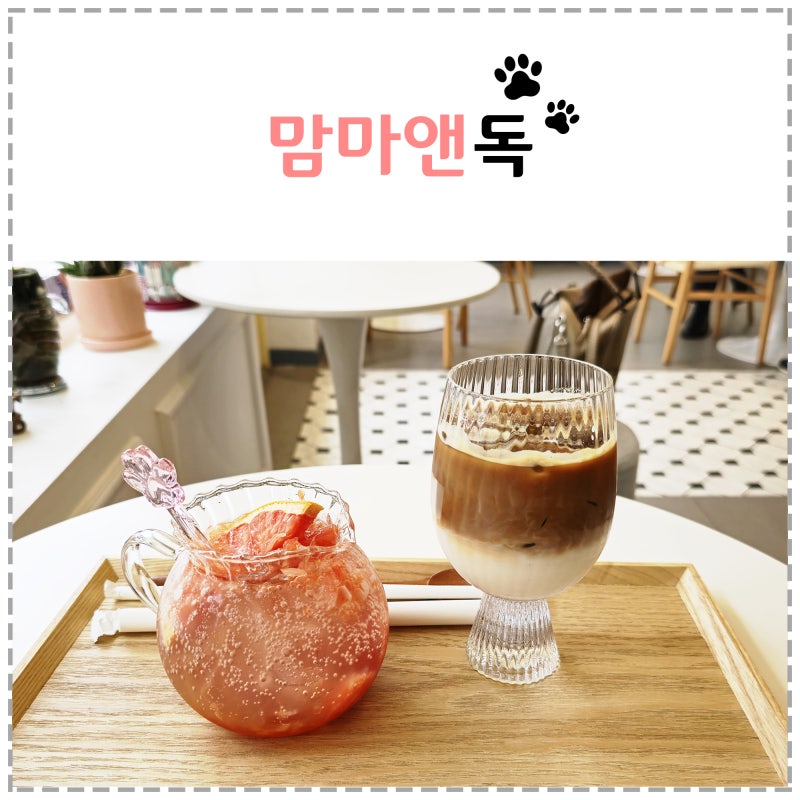 맘마앤독