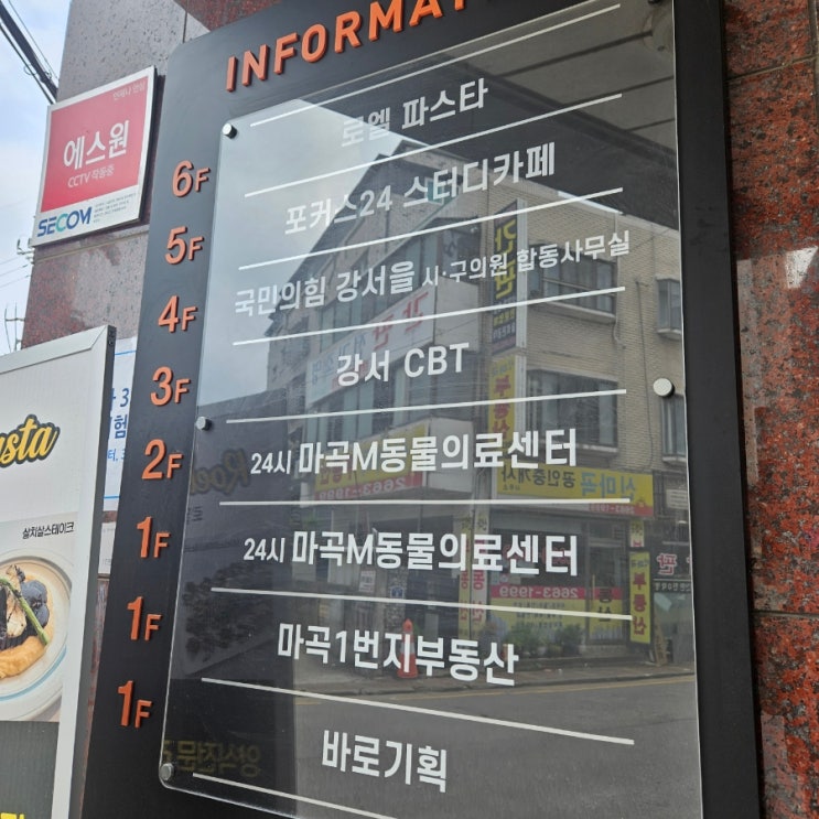  OPIC 2회차 도전기 | 6-6 직장인 전략 | 영어 공부