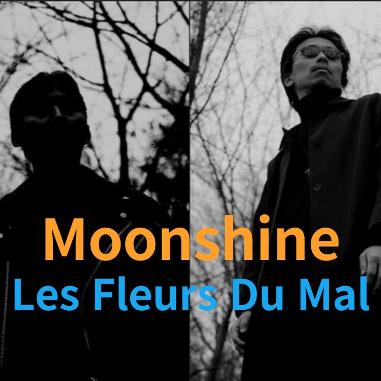  Moonshine : Les Fleurs Du Mal (2001)[영상/소개/가사/해석]
