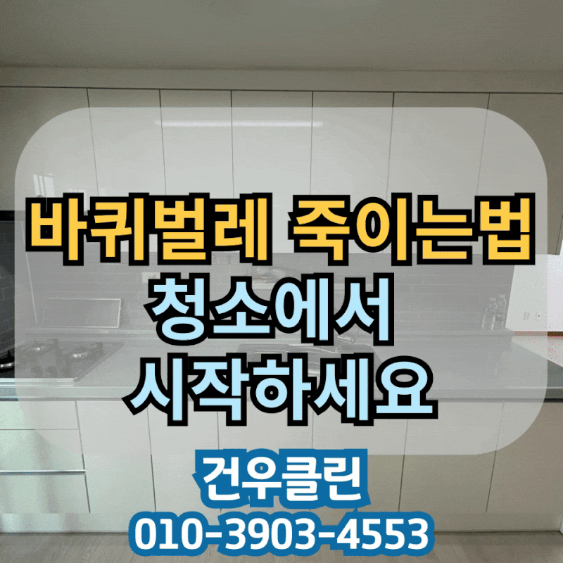 바퀴벌레 죽이는 법 청소에서부터 시작하세요