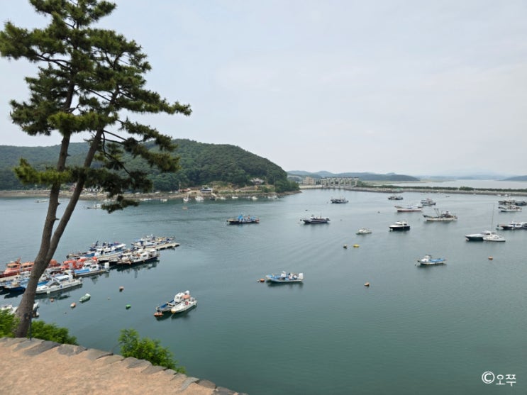  [2024년 봄 당일치기 보령여행] 보령 충청수영성