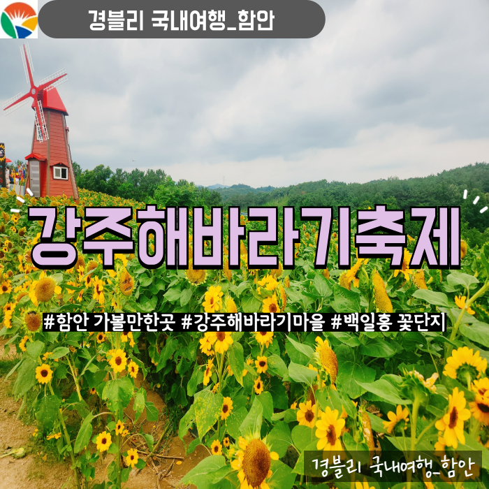  경남7월여름꽃축제 함안 가볼만한곳 강주해바라기축제 기본정보, 주차, 입장료, 개화상황, 백일홍꽃단지