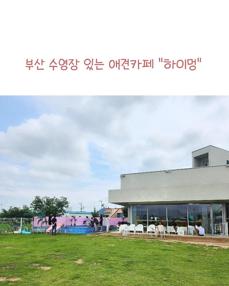 사진 3