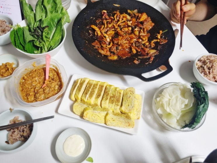  일상 포토덤프 2주차
