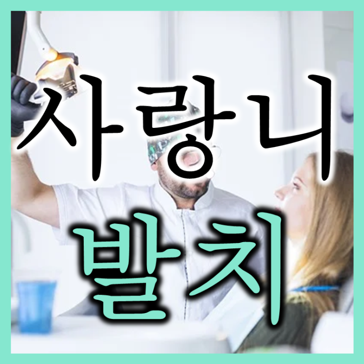  사랑니 발치 방법 그리고 치유 과정