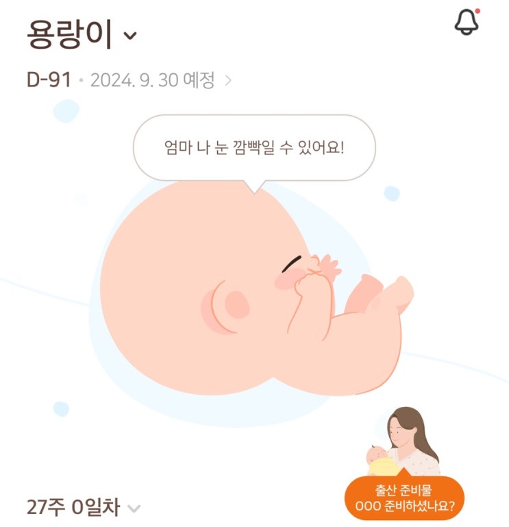 임신 27주차 | 27주 증상 태동, 산후조리원 정주행, 베일리수 홍대점 만삭촬영 임신 27주차 | 27주 증상 태동, 산후조리원 정주행, 베일리수 홍대점 만삭촬영