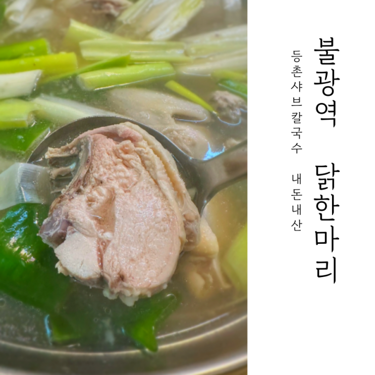  불광역 맛집 내돈내산 닭한마리 후기 _ 등촌 샤브 칼국수