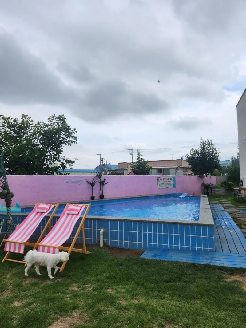 사진 2