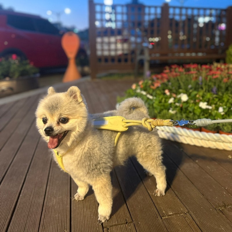 사진 7