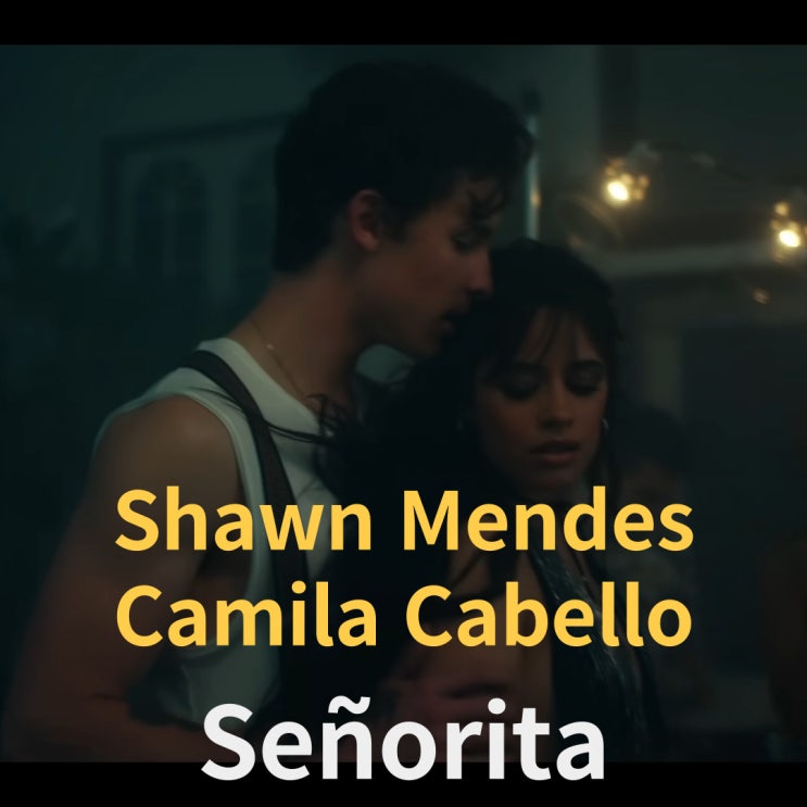  Shawn Mendes, Camila Cabello : Señorita (2019)[영상/소개/가사/해석]