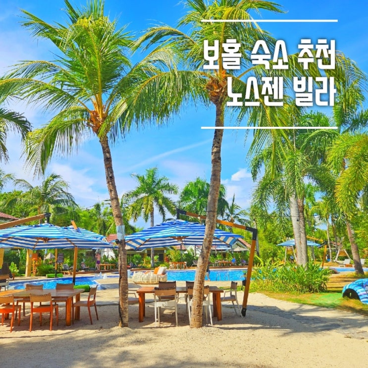  필리핀 보홀 숙소 추천 노스젠빌라, 맹그로브 숲