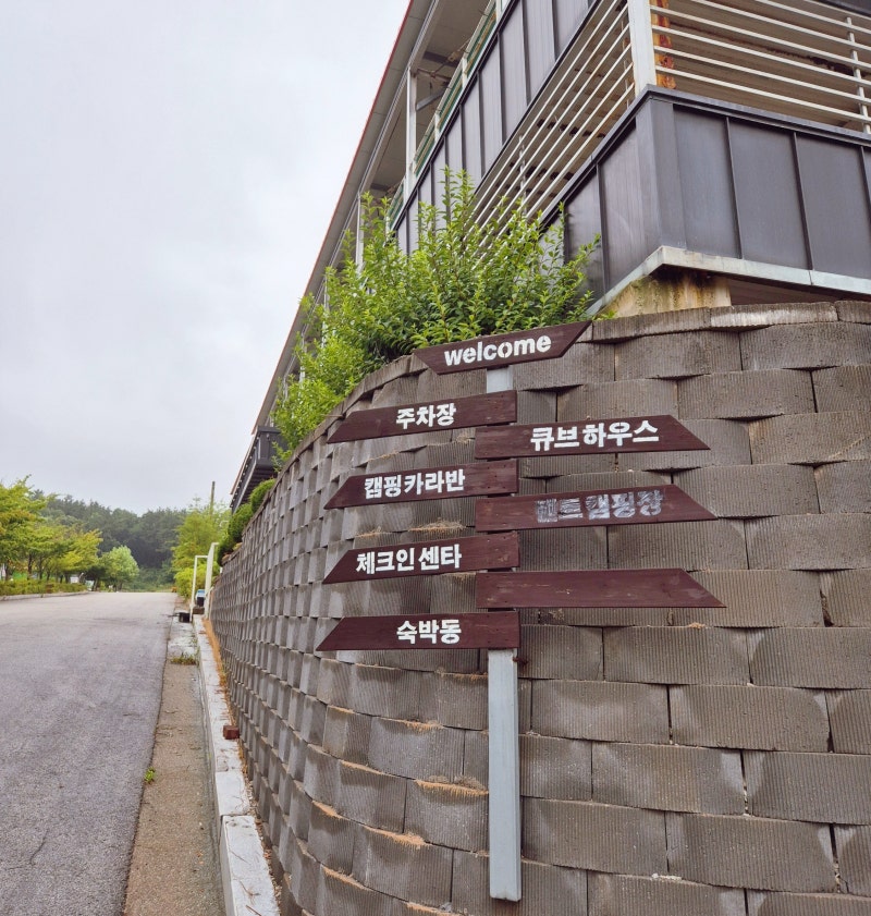 사진 7