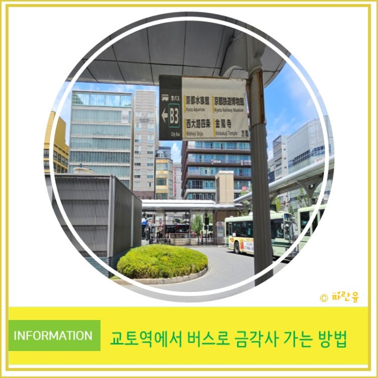  일본 여행 교토역에서 버스로 금각사 가는 방법 안내 및 꿀팁