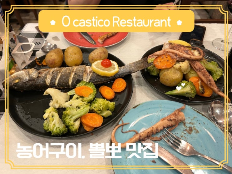  뽈뽀와 생선 농어구이가 너무 맛있었던 리스본 현지인 맛집 추천 O castico restaurant
