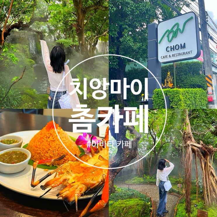  치앙마이 촘카페 메뉴, 포토존 (ft.치앙마이 아바타 카페)