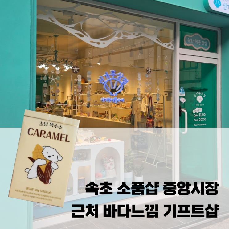  속초 소품샵 중앙시장 근처 바다느낌 기프트샵 | 신기루상점