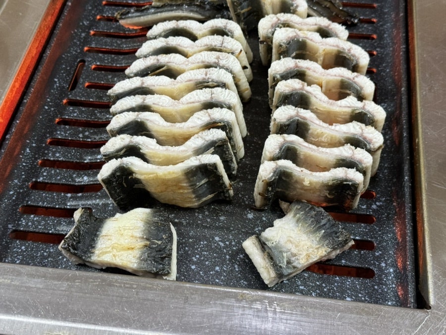 여자도민물장어 사진 2