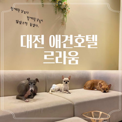 사진 4