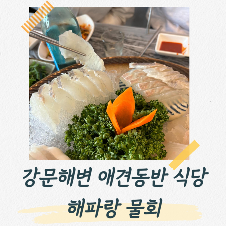  강문해변 횟집 추천, 1층 애견동반 가능한 해파랑물회
