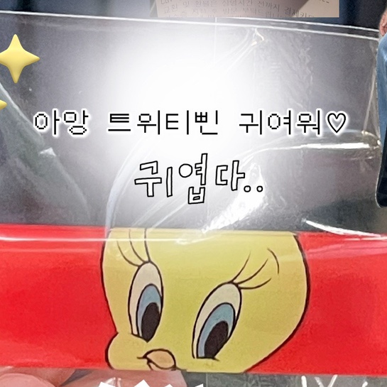  트위티짤 모음(+귀여운 트위티굿즈 자랑)