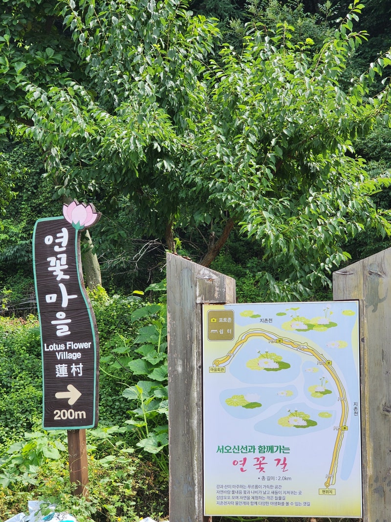 사진 5
