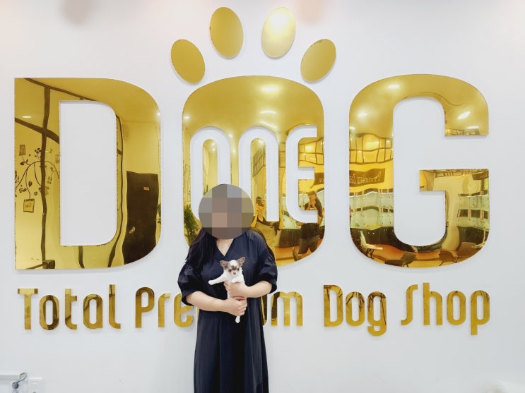  사랑스러운 장모치와와 분양 완료!/강아지분양 세종시애견샵 세종강아지분양 오송강아지분양 오송애견샵