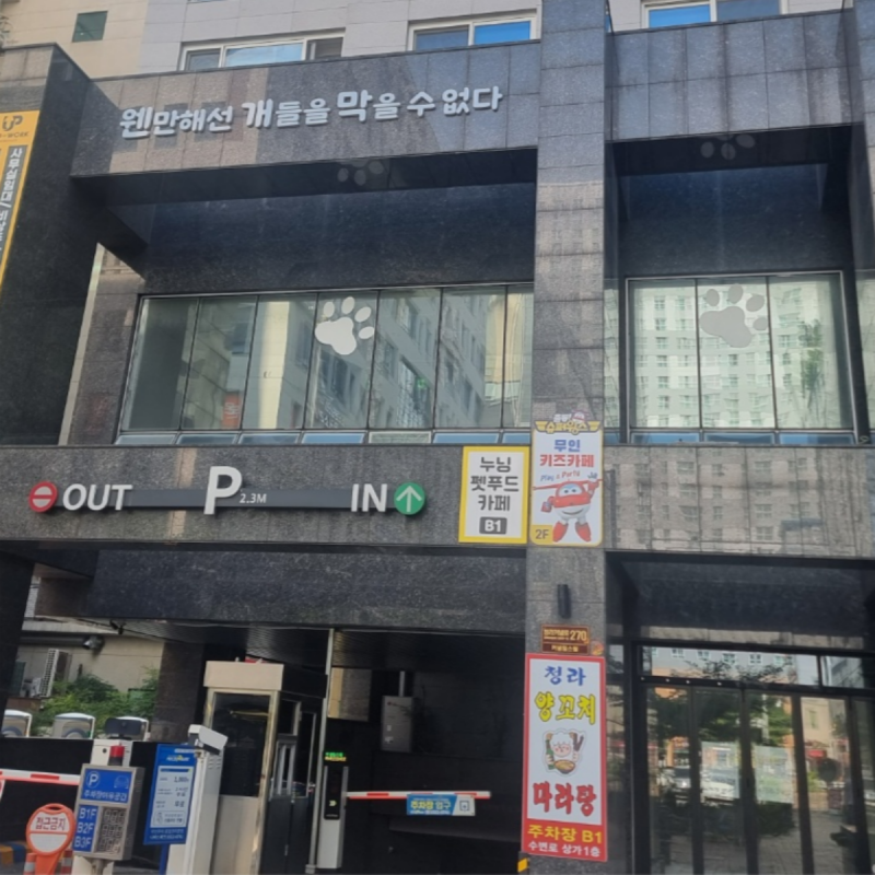 웬만해선 개들을 막을 수 없다