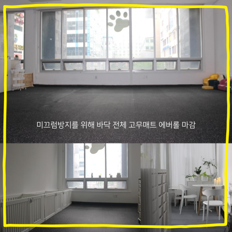 사진 2