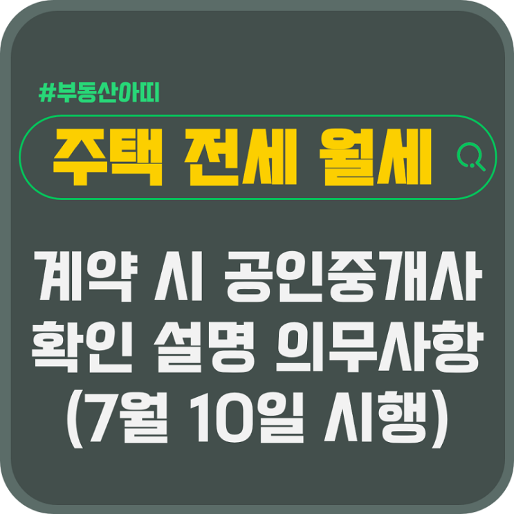  주택 전세 월세 계약 시 공인중개사 확인 설명 의무 사항