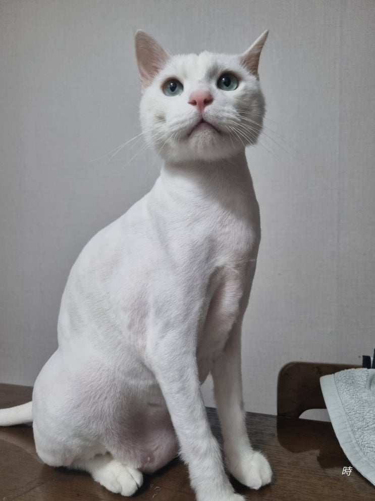  옴몸모 뽀뽀뽀 쪽쪽