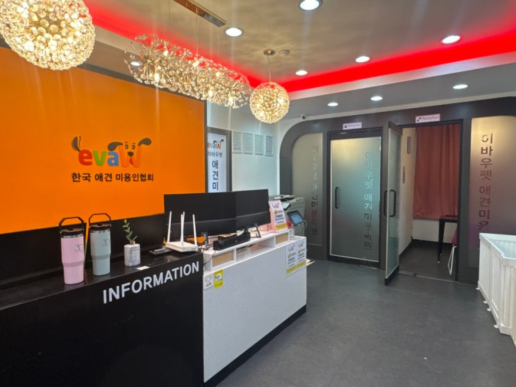  애견미용학원 국비 지원 절차, 교육과정, 장점&단점, 장학반