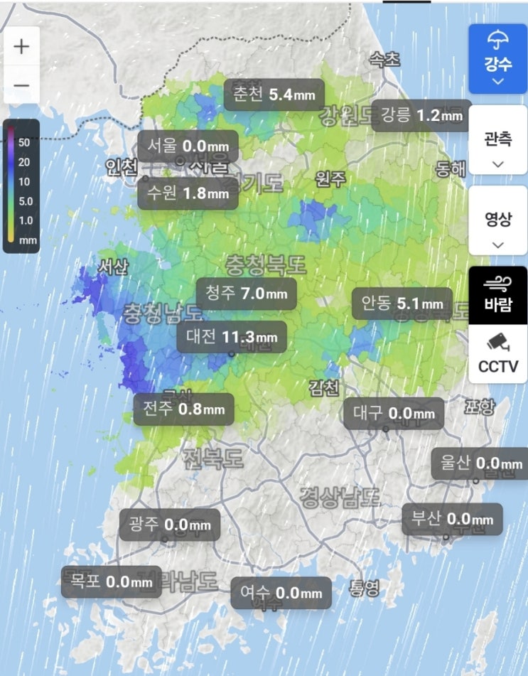  호우주의보 안전문자 및 일기예보 상세