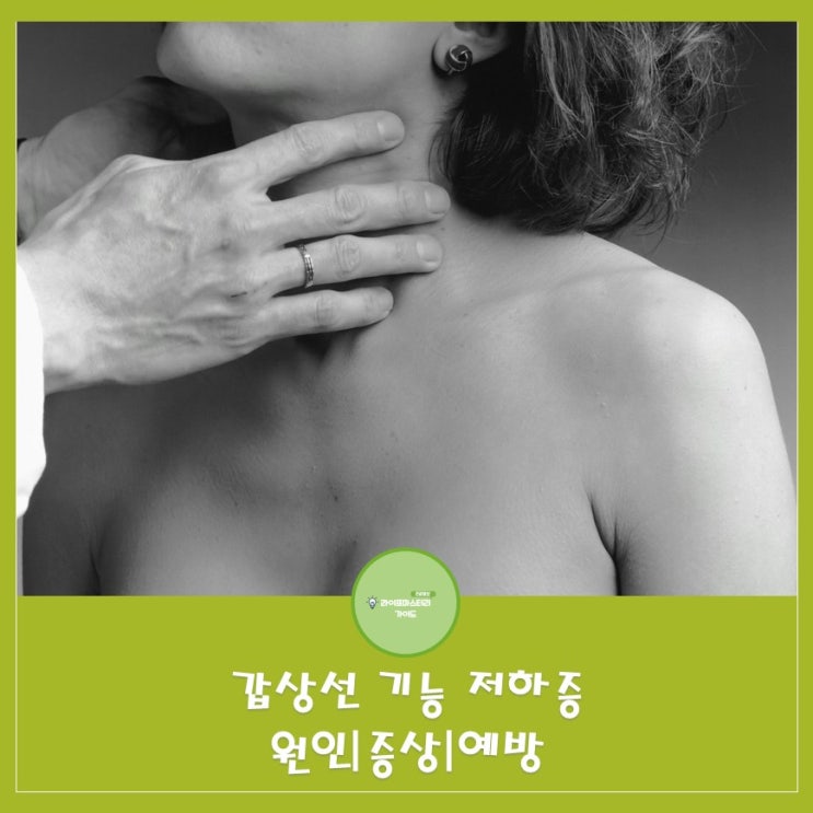  대사조절 성장 발달에 중요한 갑상선건강! 갑상선기능 저하증이란? 원인|증상|예방|