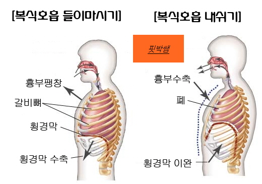  발살바호흡법으로 헬스 호흡 완벽하게[트렌드핏대연점PT/대연동PT/경성대PT]