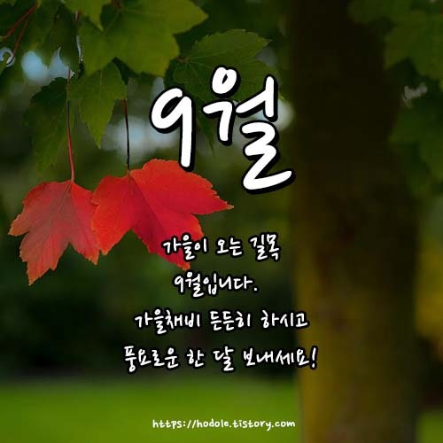 9월 인사말 : 네이버 블로그