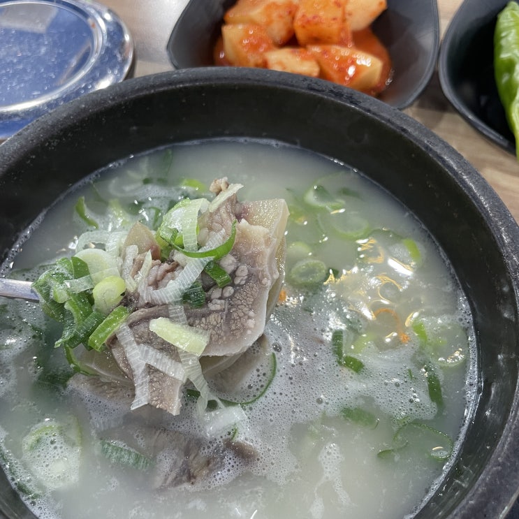  신우곰탕 :: 동충하초 소머리국밥 원주관설동 곰탕 갈비탕 맛집