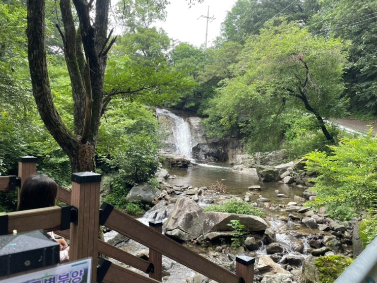  서울근교 계곡 남양주 묘적사 노지계곡 아이랑 추천