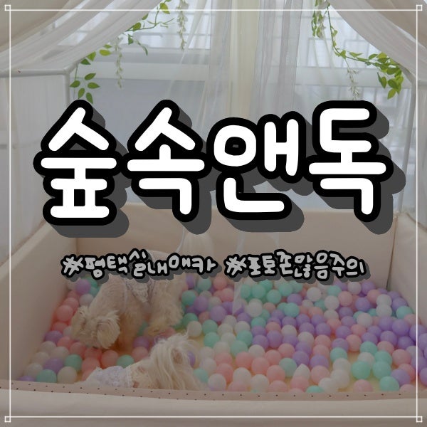 사진 8