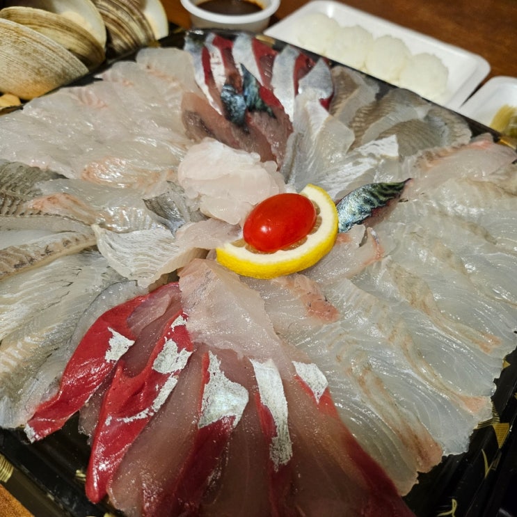  속초 회포장 맛집  가성비 횟집 회가 해산물찜 포장 리뷰