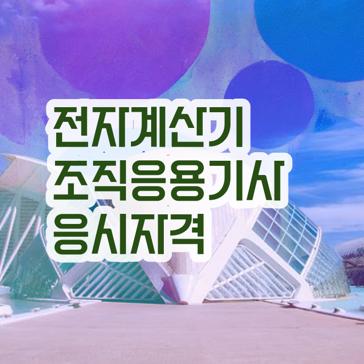  전자계산기조직응용기사 응시자격 온라인으로 5달만에 준비한 노하우