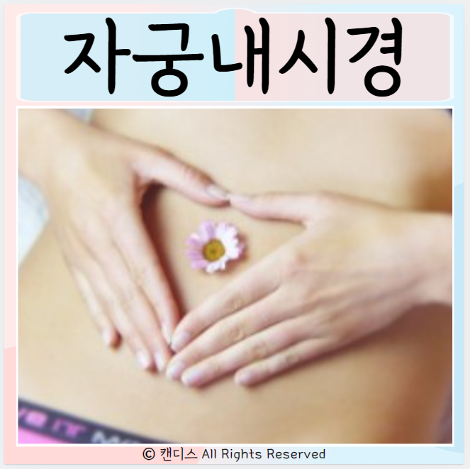  자궁내시경 검사 언제받을까? 수술 초음파