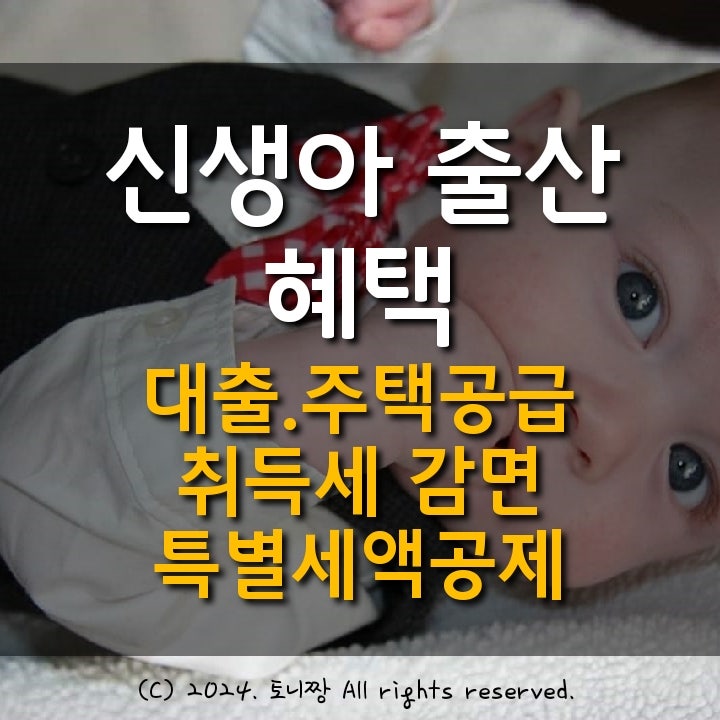 신생아 특례대출 특별공급 취득세 감면 혜택, 혼인신고 특별세액공제 (총정리) 신생아 특례대출 특별공급 취득세 감면 혜택, 혼인신고 특별세액공제 (총정리)