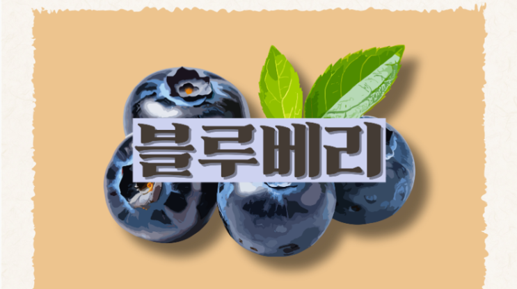  블루베리 : 반려견부터 온가족이 함께 먹을 수 있는 간식 추천