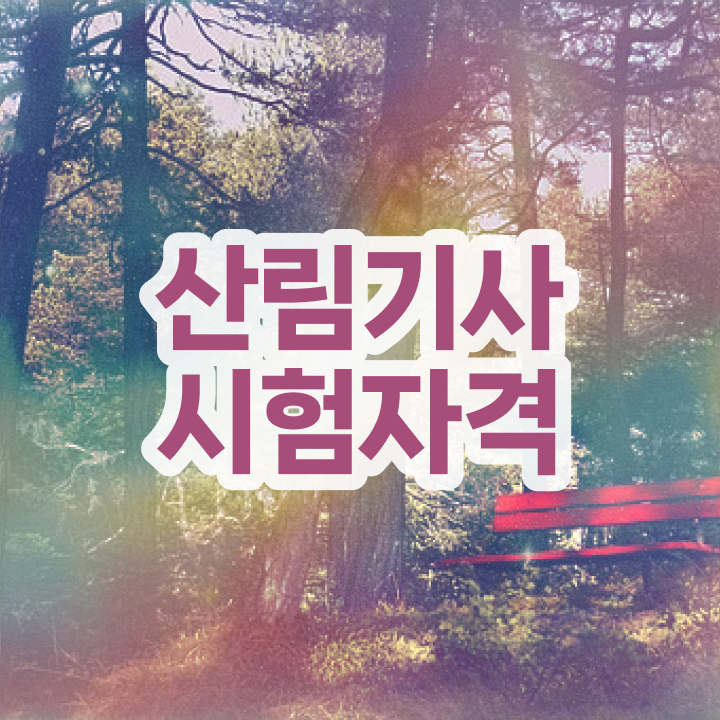  산림기사 채용 산림기사 시험자격 집에서 온라인으로 편하게 완료한 후기