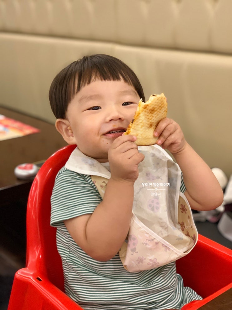  자몽 망고 오늘의 성장 기록