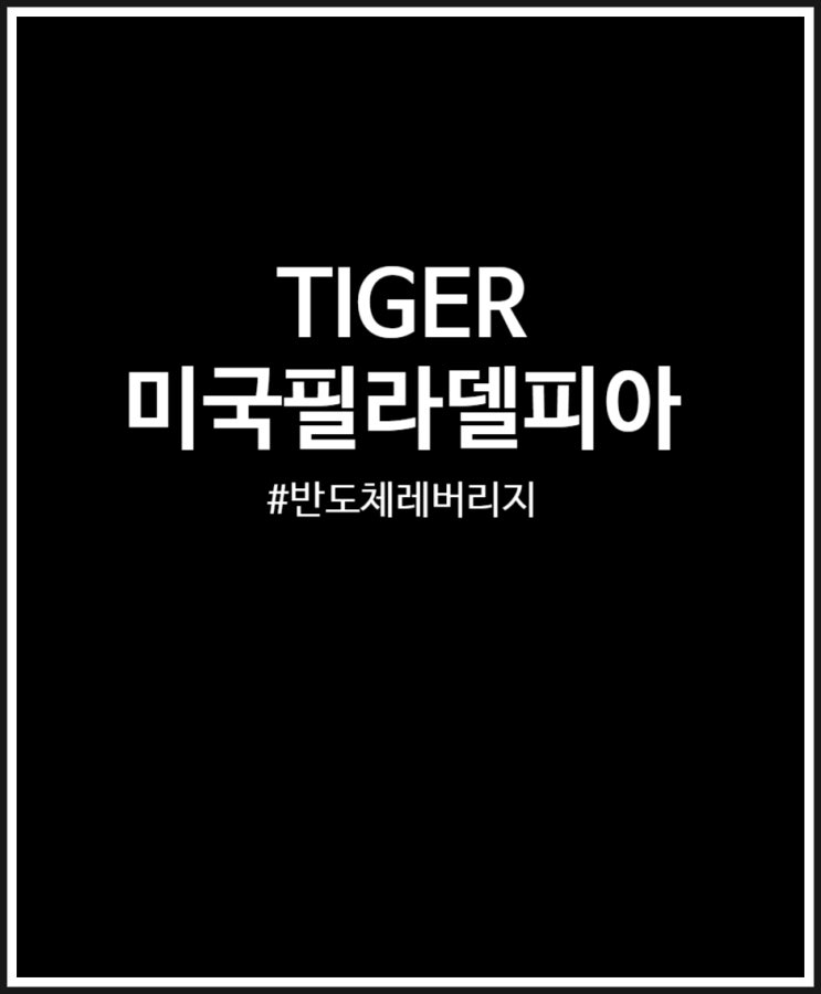  TIGER 미국필라델피아반도체레버리지(합성) 매주 3주 적립식 매수 중이네